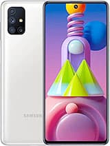 Samsung Galaxy M51 root support